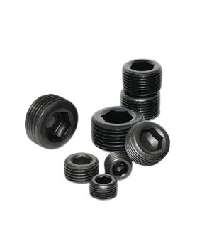 Hex Socket Pipe Plug